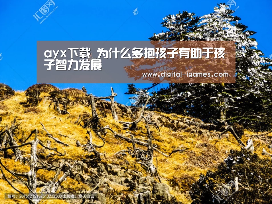 爱游戏官方