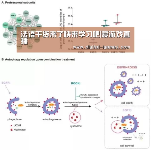 法语干货来了快来学习吧|爱游戏直播(图1) ayx下载